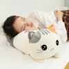 Peluche Kawaii Coussin Animaux