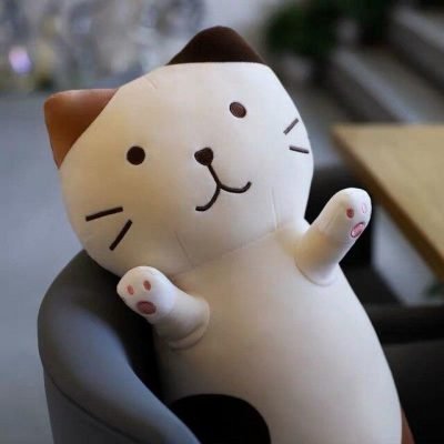 Peluche Kawaii Chat Géant