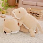 Peluche Kawaii Loutre Moelleuse