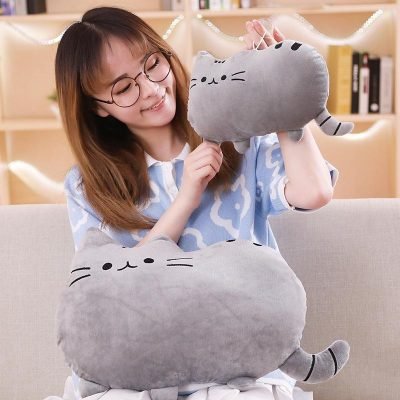 Peluche Kawaii Pusheen