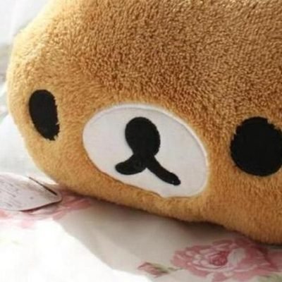 Peluche Kawaii Tête d'Ours Rila